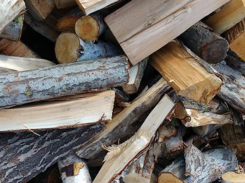 Hêtre, bois de chauffage